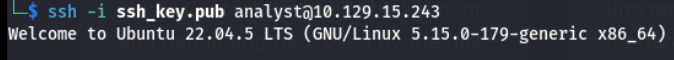 Successful SSH connection as analyst